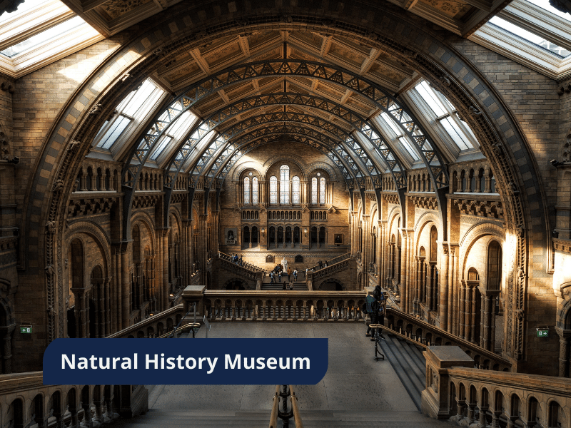 London - Natural History Museum